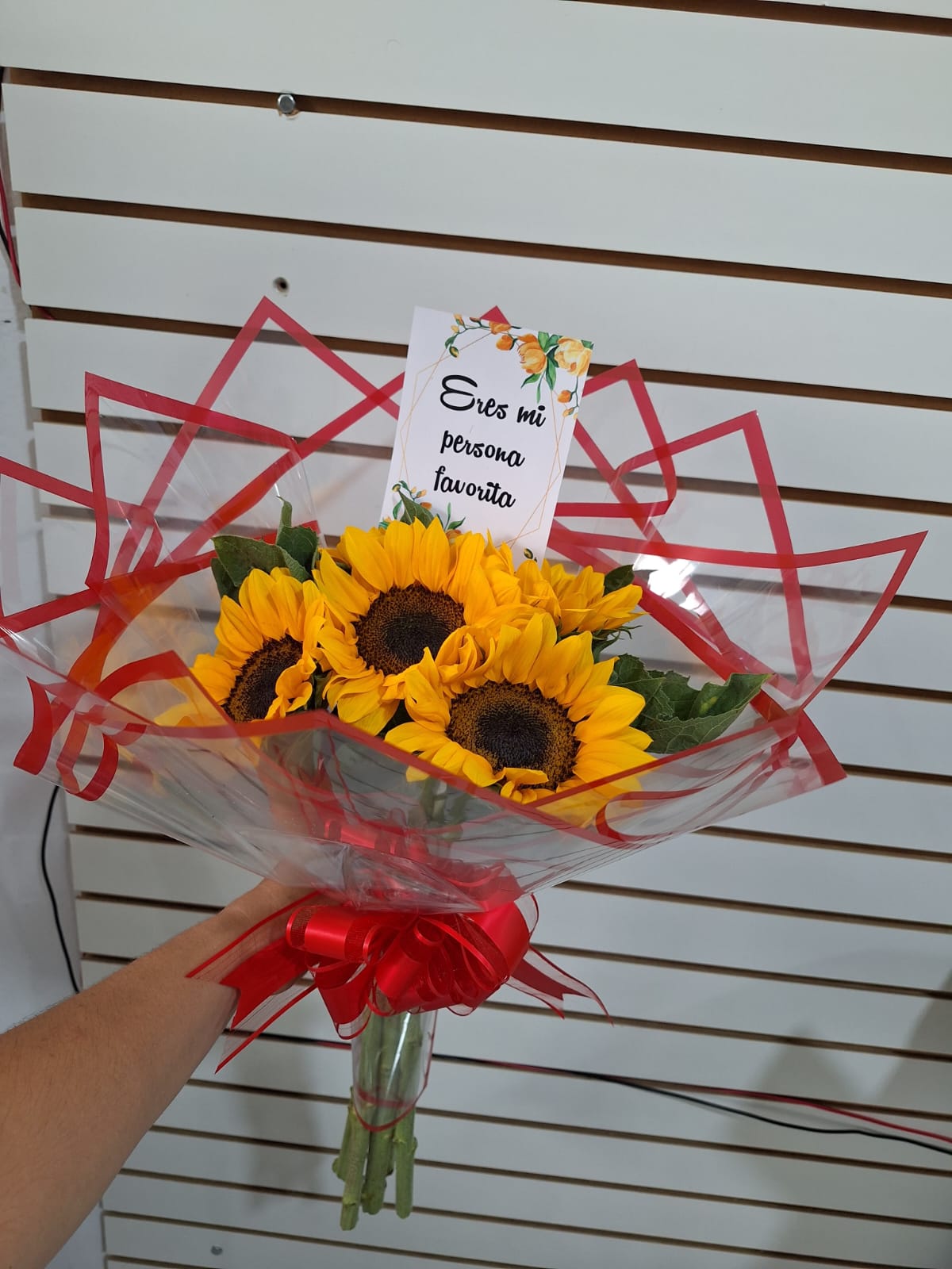 Buchon de Girasoles NATURALES