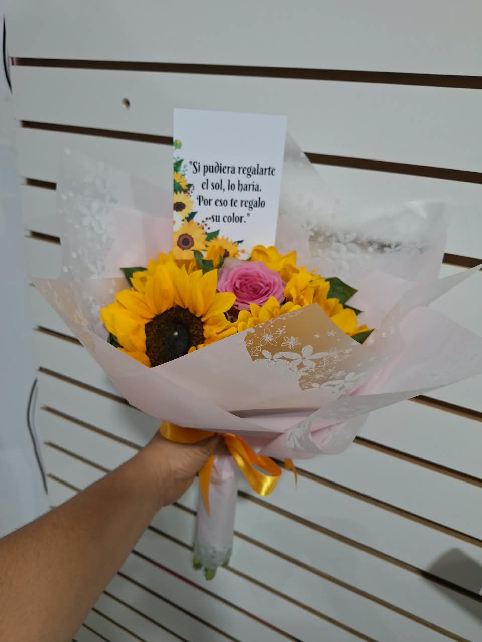 Buchon de girasoles
